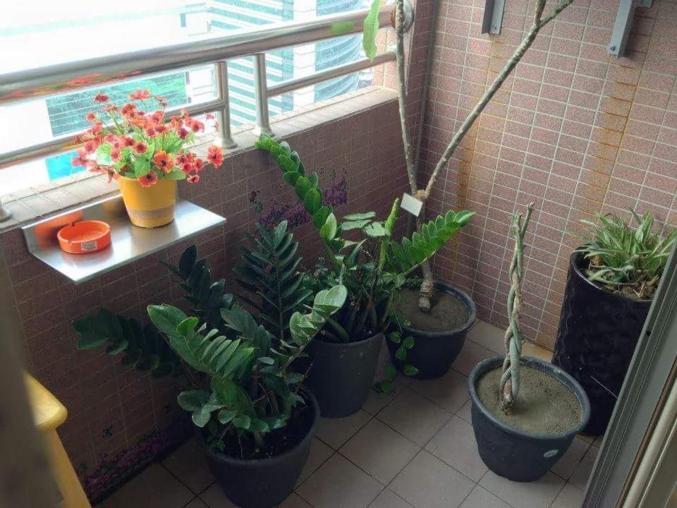 Apartament Jia Jia House Kaohsiung Zewnętrze zdjęcie